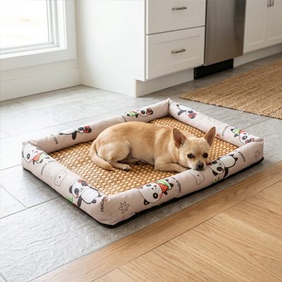 Tapis rafraichissant Chien panda beige sur le sol devant fenêtre avec chiwawa couché