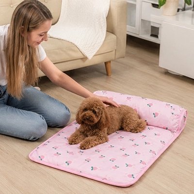 Tapis rafraîchissant Chien rose avec caniche brun couché et sa maîtresse devant canapé
