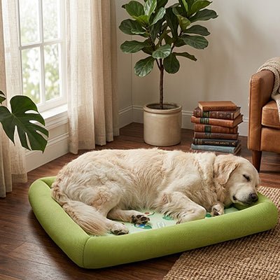Tapis rafraichissant Chien | Sans électricité - Dogscie