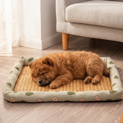 Tapis rafraichissant Chien vert avocats avec chien brun qui y dort profondément  devant canapé