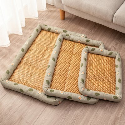 Tapis rafraichissant Chien vert avocats vide sur le sol du salon porposant trois tailles