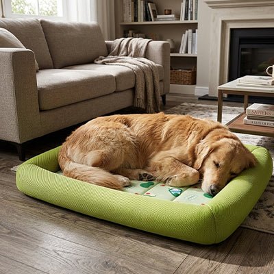 Tapis rafraichissant Chien | Sans électricité - Dogscie