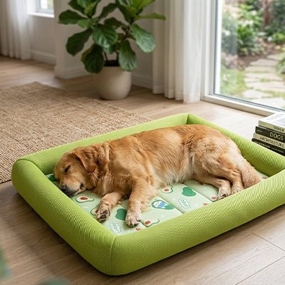 Tapis rafraichissant Chien | Sans électricité - Dogscie