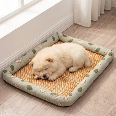 Tapis rafraichissant Chien vert avocats avec chien beige qui y dort profondément  devant fenêtre 