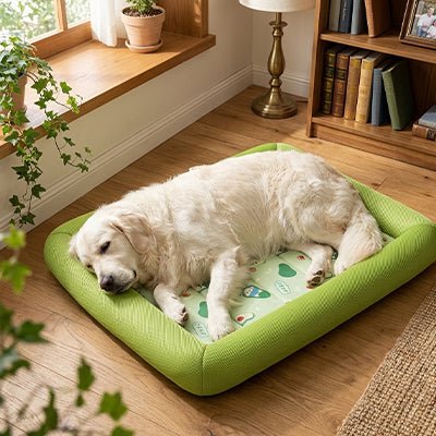 Tapis rafraichissant Chien | Sans électricité - Dogscie