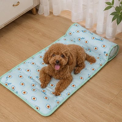 Tapis rafraîchissant Chien vert avec caniche brun couché et heureux sur sol du salon