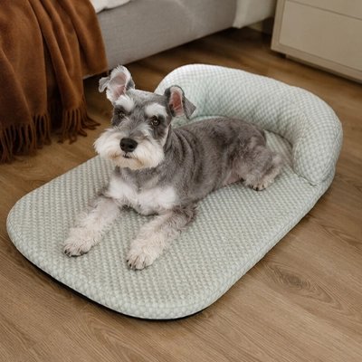 Tapis rafraichissant Chien vert avec chien heureux couché 