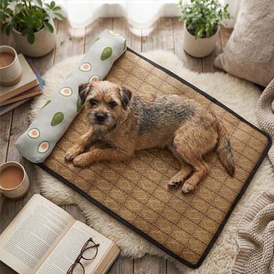 Tapis rafraichissant Chien Vert/avocats / M 55X40CM sur le sol avec chien couchhé regardant l'objectif