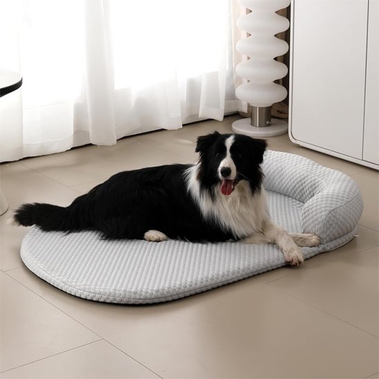 Tapis rafraichissant chien