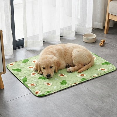 Tapis rafraichissant pour chien | Confort Été - Dogscie