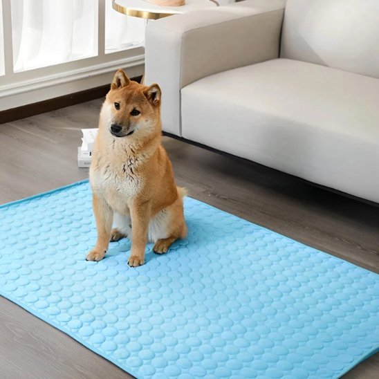 Tapis rafraichissant pour chien | Confortable et Résistant - Dogscie
