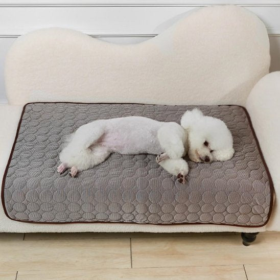 Tapis rafraichissant pour chien | Confortable et Résistant - Dogscie