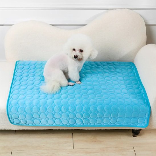 Tapis rafraichissant pour chien | Confortable et Résistant - Dogscie