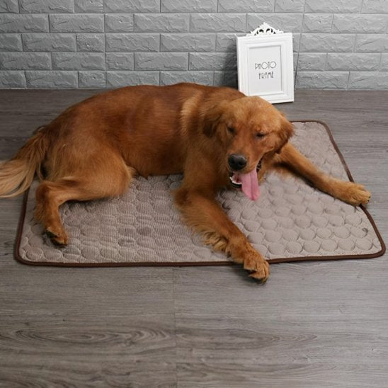 Tapis rafraichissant pour chien | Confortable et Résistant - Dogscie