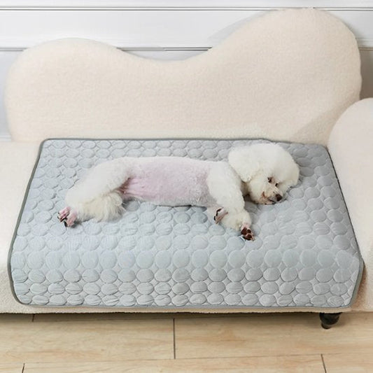 Tapis rafraichissant pour chien | Confortable et Résistant - Dogscie